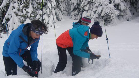 Formation autonomie - Sauvetage en avalanche
